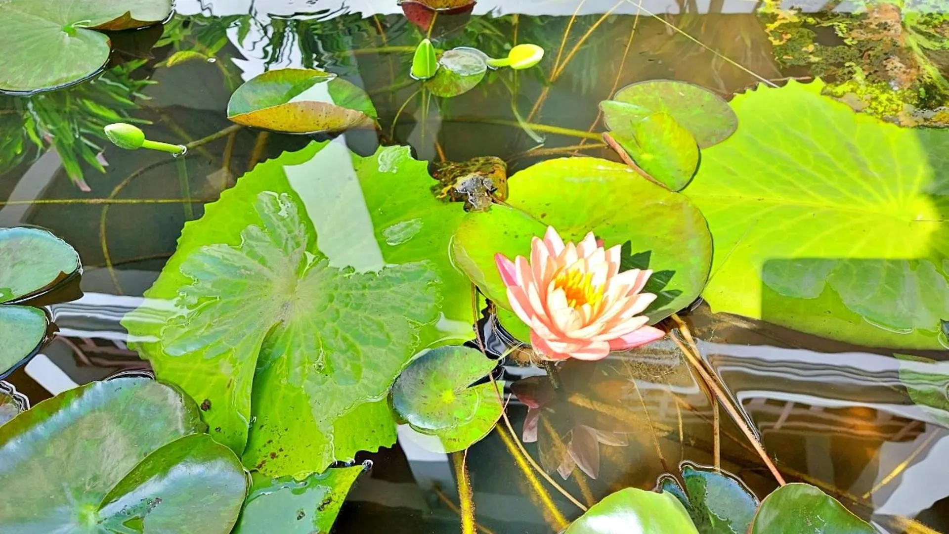 Sunrise Hotel Luang Prabang Mekong River
